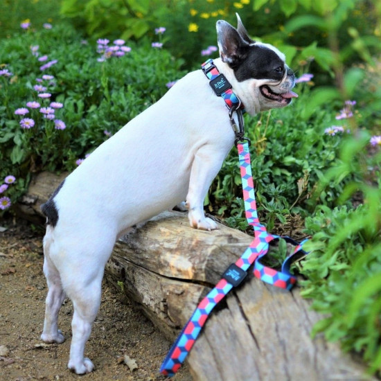 Tria | Gezdirme Kayışı