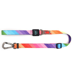 Rainbow | Emniyet Kemerli Gezdirme Kayışı