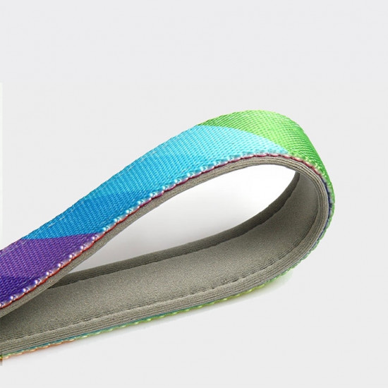 Rainbow | Emniyet Kemerli Gezdirme Kayışı