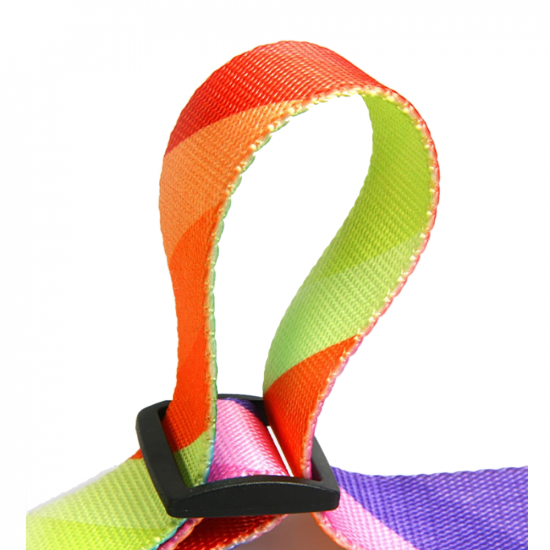 Rainbow | Emniyet Kemerli Gezdirme Kayışı