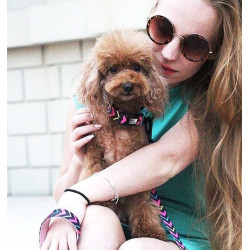 Pembe Zigzag | Boyun Tasması