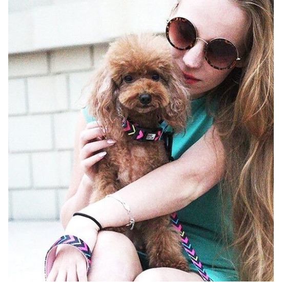 Pembe Zigzag | Boyun Tasması